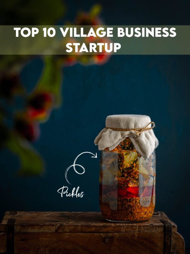 Top 10 village bisness / startup ideas